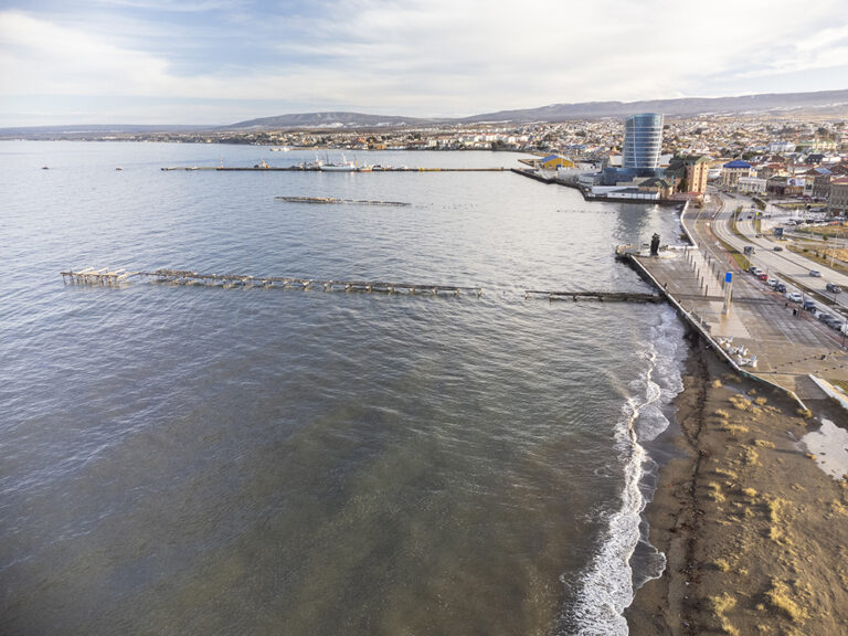 Por primera vez, la región de Magallanes se convierte en el punto de encuentro para escritoras y periodistas de todo el mundo, en un congreso que marca un hito tanto para la región como para el país.